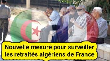 Retraités algériens assis en plein air, discutant et surveillant leur environnement.