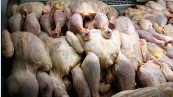 Poulets avariés saisis lors d'une opération à El Bayadh.