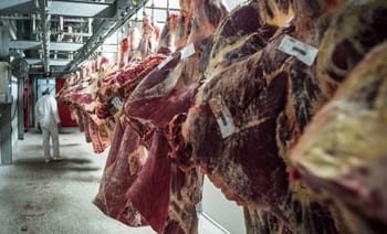 Viande Halal suspendue dans un abattoir en France.