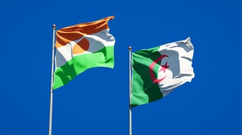 Drapeaux du Niger et d'Algérie flottant dans le ciel bleu.
