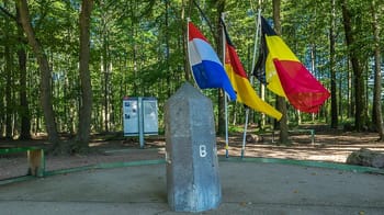 Drapeaux de la France, de l'Allemagne et de la Belgique dans une forêt.