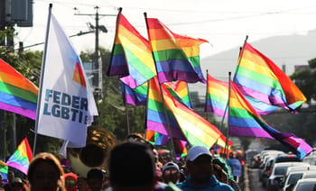 Drapeaux arc-en-ciel lors d'une marche pour l'égalité des droits.
