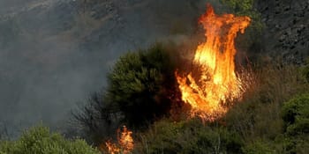 Feu de forêt en Algérie, flames et fumée intense.