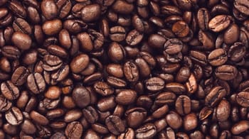 Grains de café torréfiés pour une dégustation de qualité.