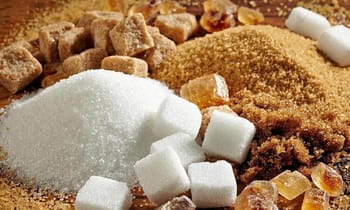 Différents types de sucre et de sucre en morceaux pour pâtisserie.