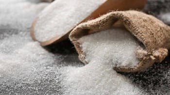 Sac de sucre en vrac avec une cuillère en bois.