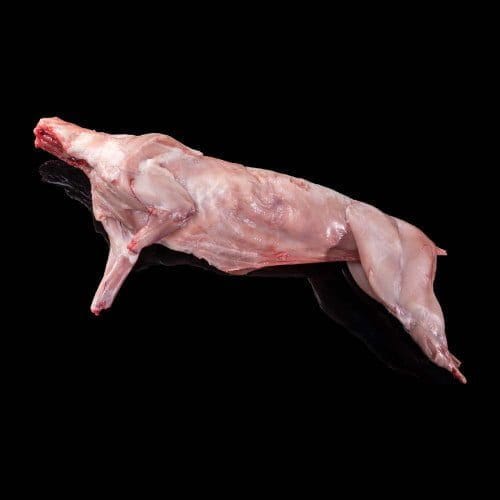 Viande de lapin fraîche, utilisée pour la nourriture animale.