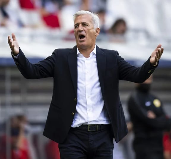 Vladimir Petkovic, entraîneur de football, gesticulant sur le terrain.