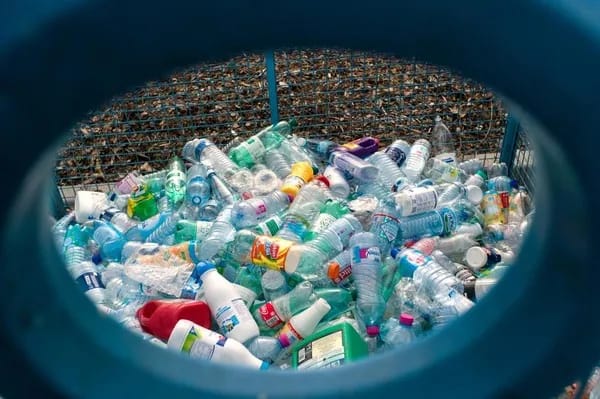 Une usine de recyclage du plastique à Mascara Bouteilles en plastique recyclées dans une usine à Mascara.