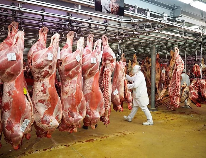 Viande de bœuf suspendue dans une boucherie en Algérie.