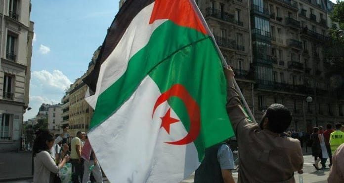 Personne brandissant un drapeau algérien et palestinien lors d'une manifestation.