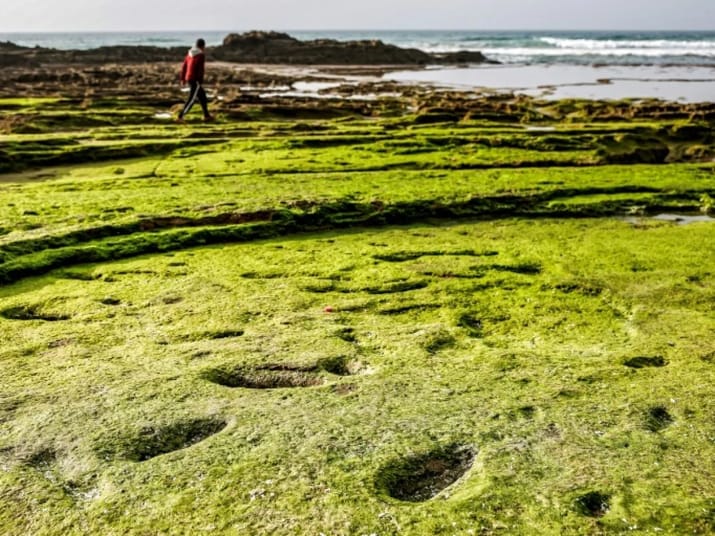 Empreintes anciennes sur la côte verte du Maroc avec un marcheur en arrière-plan.