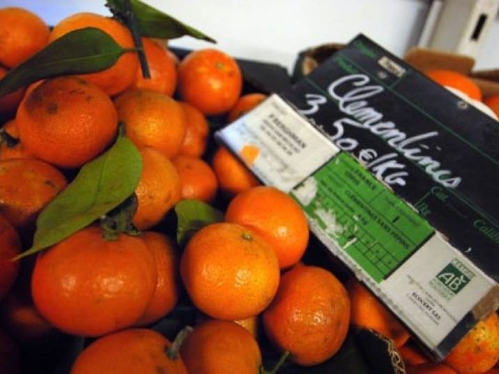 Découvrez la Présence Surprenante des Clémentines Algériennes dans les Supermarchés Français ! Clémentines algériennes fraîches avec feuilles vertes en rayon.