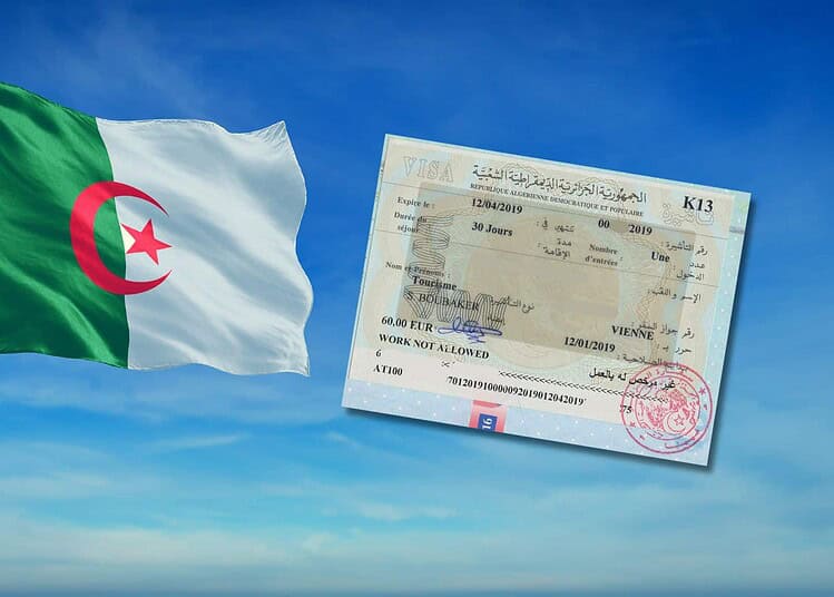 Algérie-Allemagne : 3 milliards qui rapprochent les deux pays Drapeau algérien avec visa aérien en arrière-plan.