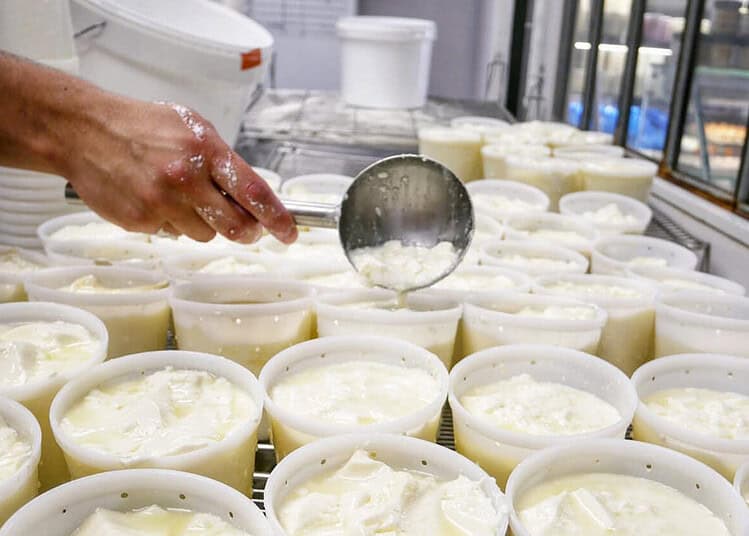 Un groupe algérien conquiert le marché américain : découvrez comment ! Production artisanale de fromage dans une fromagerie algérienne.