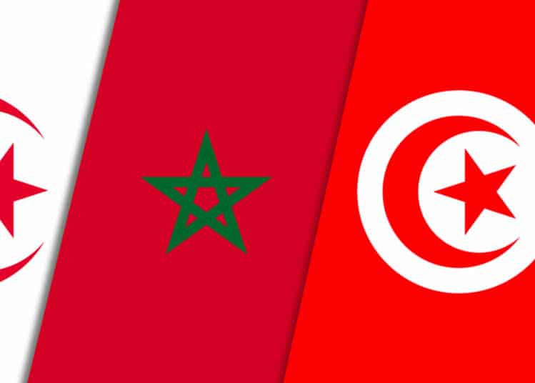 Maghreb : selon Karim Amellal, le vrai danger est ailleurs Drapeaux de l'Algérie, du Maroc et de la Tunisie côte à côte.