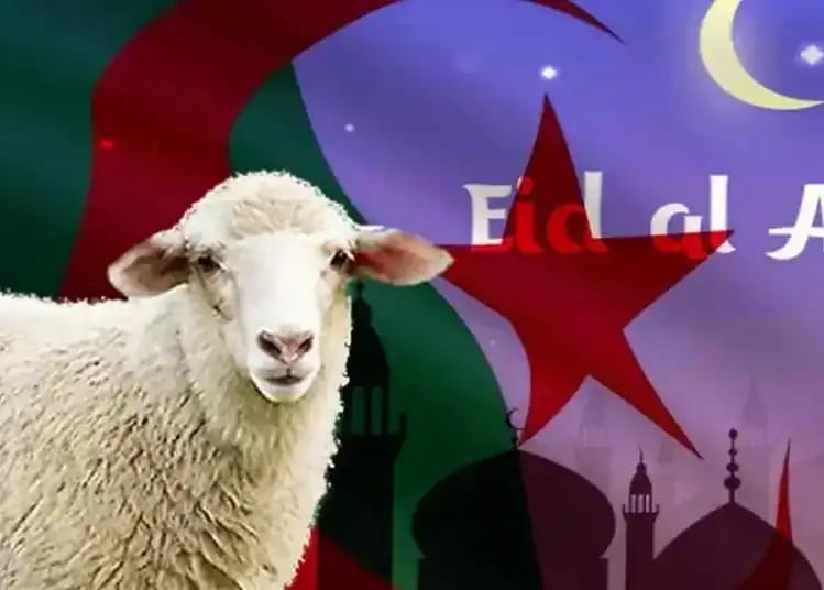 Aïd al-Adha 2026 : le CFCM dévoile la date officielle Mouton devant un fond de drapeau algérien et mosquées.