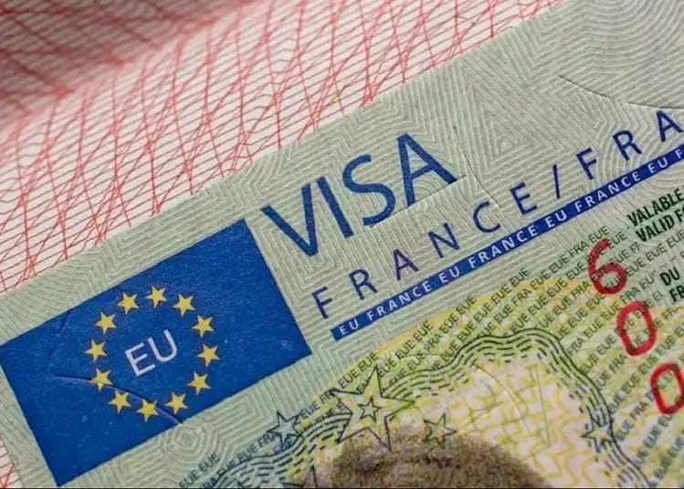 Visas France : pourquoi les Algériens sortent du top 3 Visa étudiant en France pour étudiants algériens.