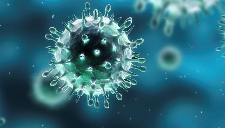Flambée du covid en Algérie : Cette vague va nous engloutir Virus en suspension, illustration scientifique en 3D.