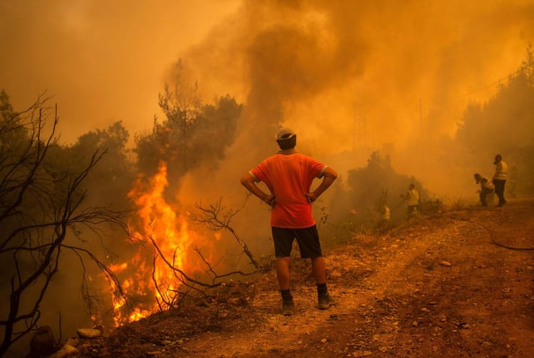 Feux de forêt au Maroc, lutte contre l'incendie, catastrophe naturelle.