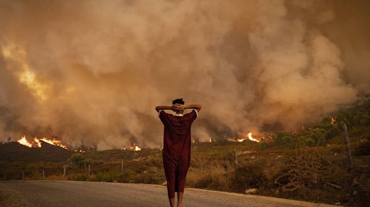 Personne regardant un incendie de forêt en Algérie.
