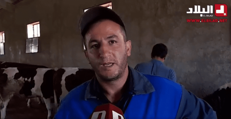 Il quitte son métier d'avocat pour devenir éleveur Homme éleveur avec un micro dans une ferme bovine.
