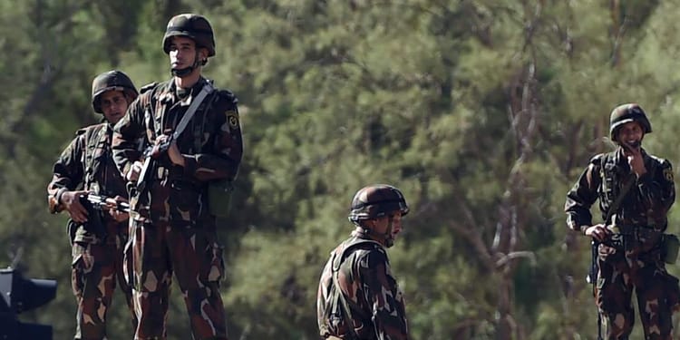 Défense nationale en Algérie : Trois terroristes éliminés dans la wilaya de Tipaza Soldats en patrouille dans une zone boisée en Algérie.