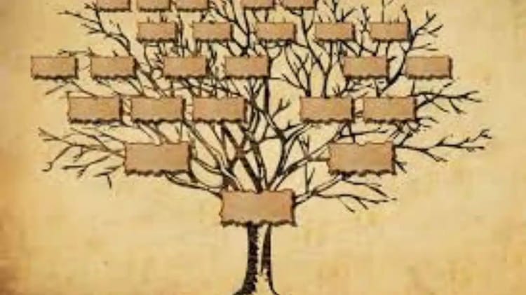 ANOM Algérie : retrouvez vos ancêtres en ligne Arbre généalogique avec branches et plaques pour retrouver ses ancêtres.