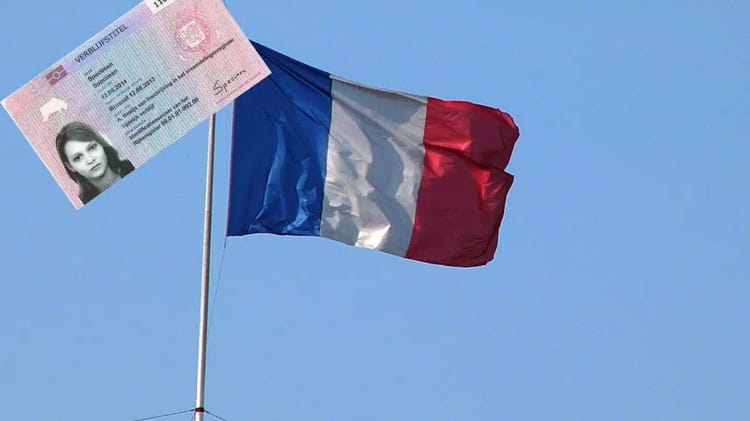 Drapeau français flottant avec carte d'identité sur fond bleu.
