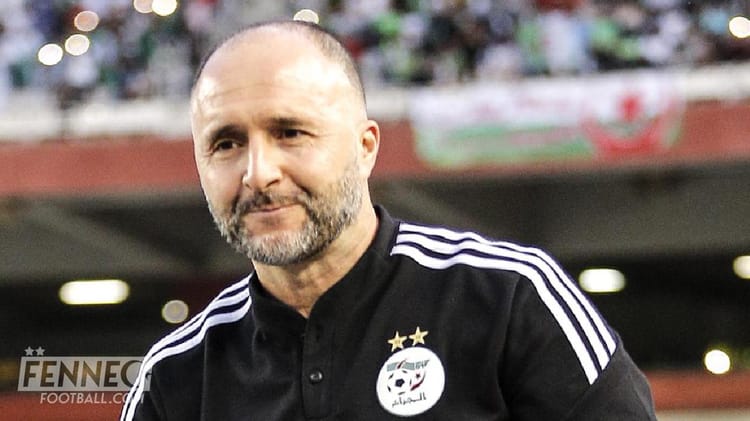 Djamel Belmadi, entraîneur de l'équipe d'Algérie, lors d'un match.