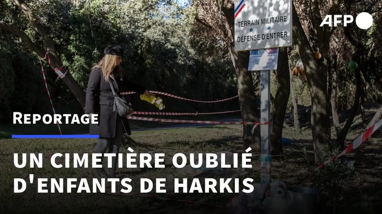 Incroyable ! Des tombes d’enfants harkis découvertes en France après des fouilles Fouille de tombes d’enfants harkis dans une zone boisée en France.