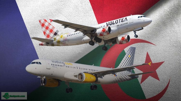 Avion Vueling envahi par des insectes en Algérie.