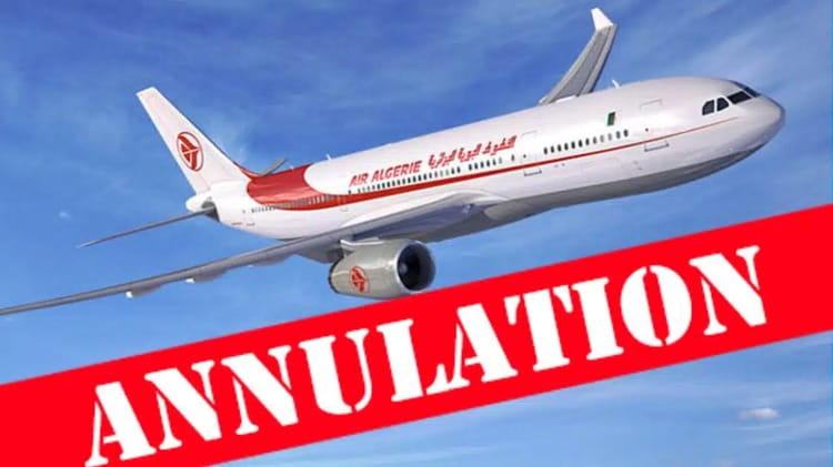 Avion d'Air Algérie en vol avec annonce d'annulation.