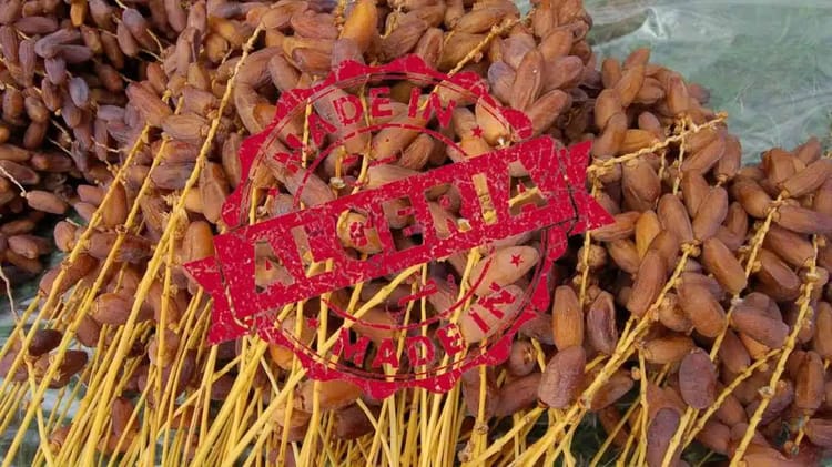 La pâte de dattes algérienne interdite en France : quel impact en Algérie ? Dattes Deglet Nour d'Algérie, qualité supérieure, vendues en vrac.