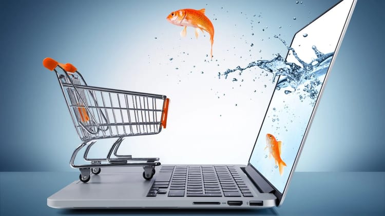 A propos de la mise en place du registre de commerce sans local fixe, le ministère annonce. Poisson nageant dans un ordinateur portable avec un chariot de supermarché.