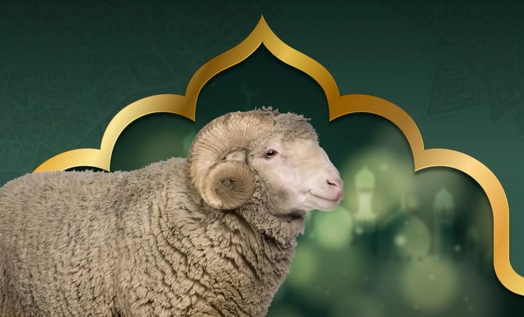 Mouton dans un décor islamique avec motif doré.