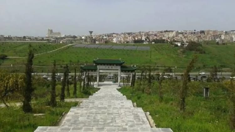 Dounia Parc, espace vert et paysage urbain en Algérie.