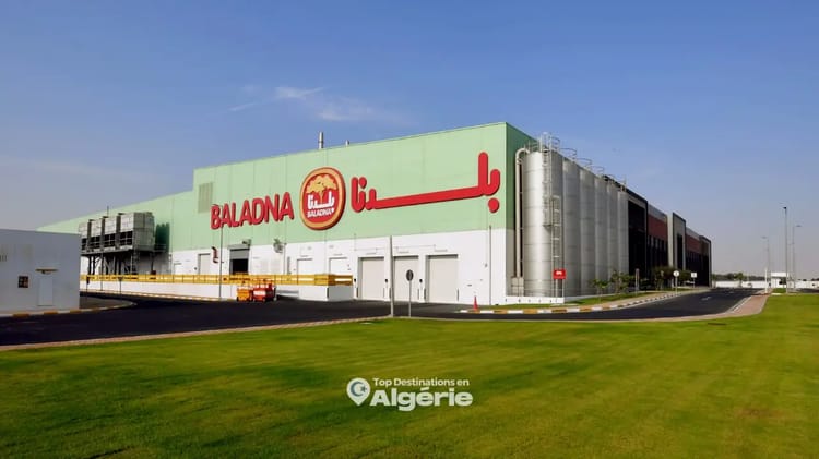 Djelfa : Mise en place imminente d’une usine de lait du qatari « Baladna ». Usine de lait moderne Baladna à Djelfa en Algérie.