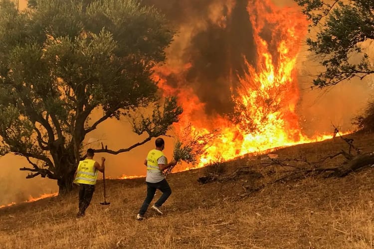 Pompiers combattant un incendie de forêt à Béjaïa en Algérie.