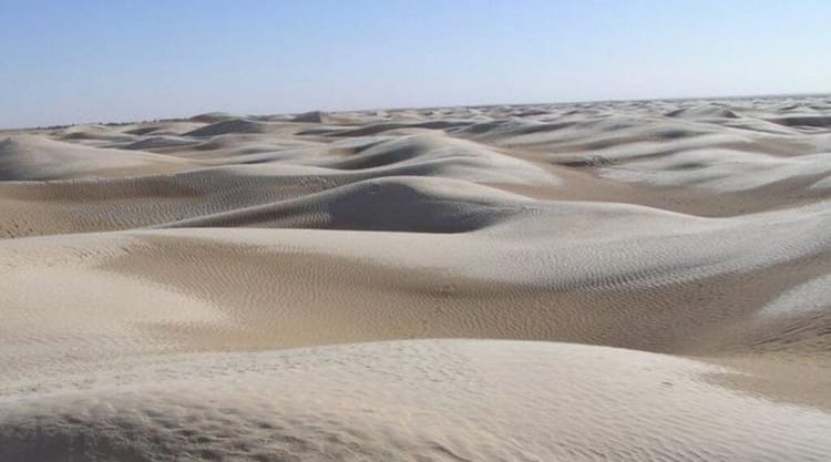 Tunisie : des migrants retrouvés morts dans le désert près de l’Algérie Dunes de sable dans un désert aride près de l'Algérie.
