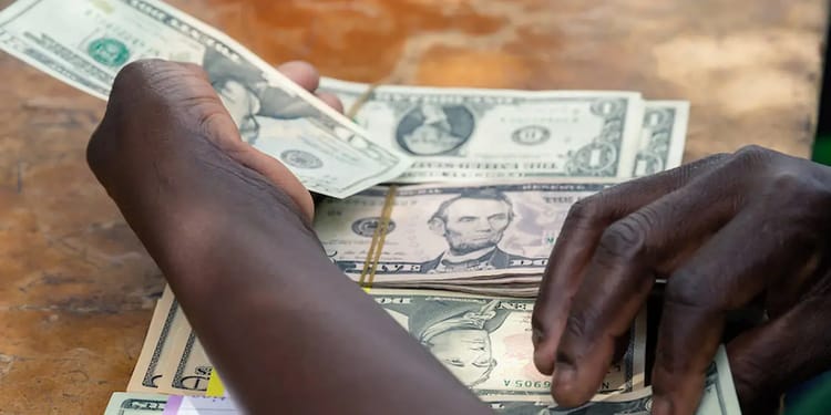 Afrique : Les pays ayant les plus grandes économies, selon une banque suisse Main tenant des billets de banque en dollars américains.
