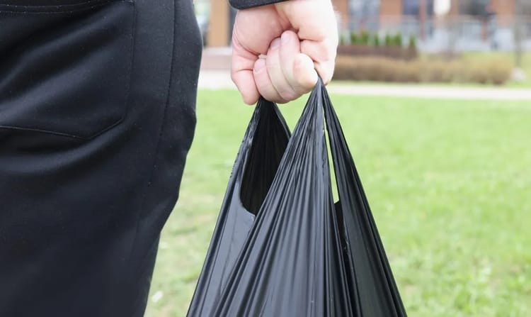 Retour des sachets noirs en plastique en Algérie : Débat sur la santé et l'environnement Main tenant un sachet noir en plastique dans un parc en Algérie.