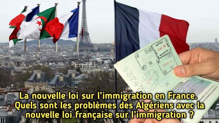 Drapeaux algérien et français avec passeport et billet d'avion.