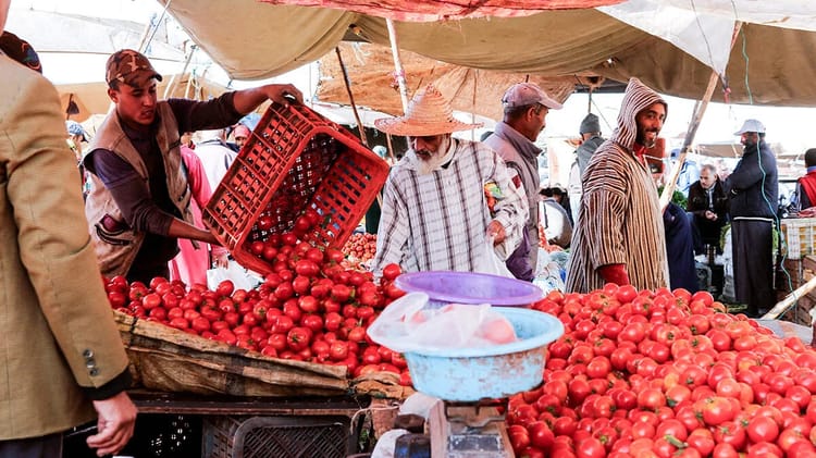 Maroc : La croissance record des exportations de tomates crée des frictions sur le marché français Vendeurs marocains vendant des tomates fraîches sur un marché.