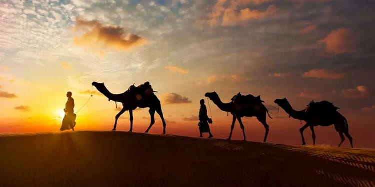 Camels et guides dans le Sahara au coucher du soleil.