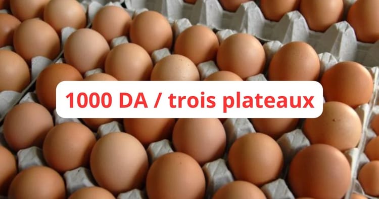 Oeufs en carton avec affiche prix 1000 DA pour trois plateaux.