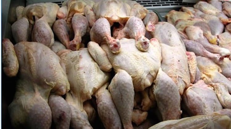 Poulets avariés saisis lors d'une opération à El Bayadh.