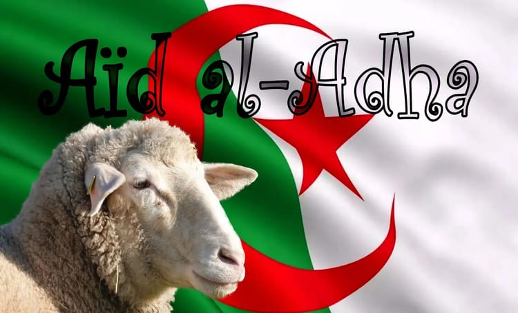 Mouton devant drapeau algérien pour Aïd El-Adha 2024.