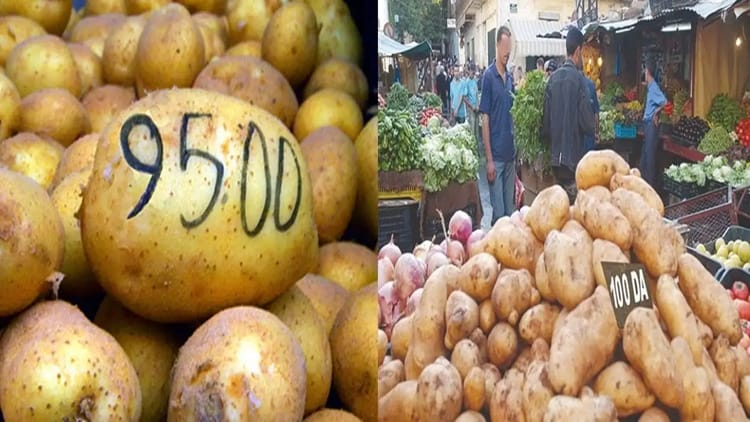 Flambée du prix des pommes en Algérie : Une situation qui contraste avec la production locale croissante Pommes à 950 DA au marché algérien.