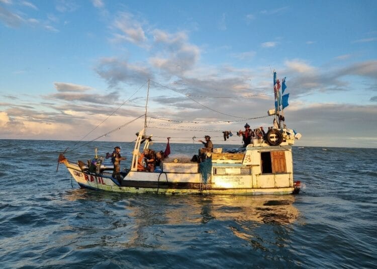 Les bonnes nouvelles s'enchainent! L'Algérie primée pour ses efforts contre la pêche illégale par la FAO Bateau de pêche traditionnel en mer avec des pêcheurs à bord.
